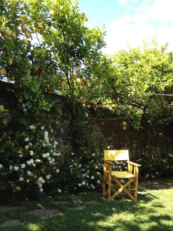 ホテルCasa Do Pinheiro - Turismo De Habitacao ポンテ・デ・リマ エクステリア 写真